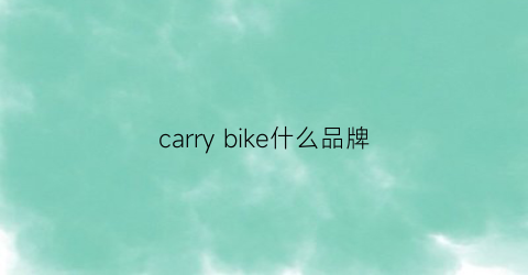 carrybike什么品牌(carrerabike)